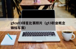 gtcut3球星比赛照片（gt3职业概念锦标车赛）