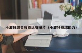 小波特球星收割比赛图片（小波特持球能力）